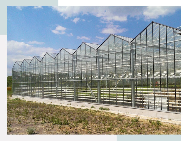 Строительство теплиц в Пугачёв от 610 руб. за м²