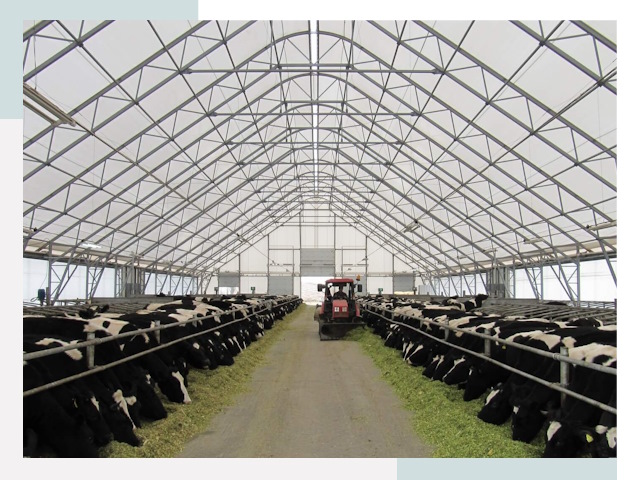 Тентовые коровники в Пугачёве от 610 руб. - Надежно и доступно